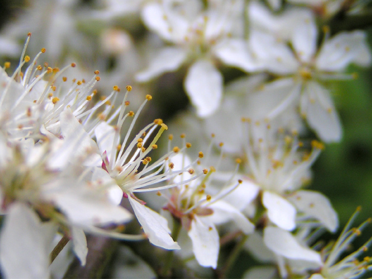 White, yellow, orange, red, and some green