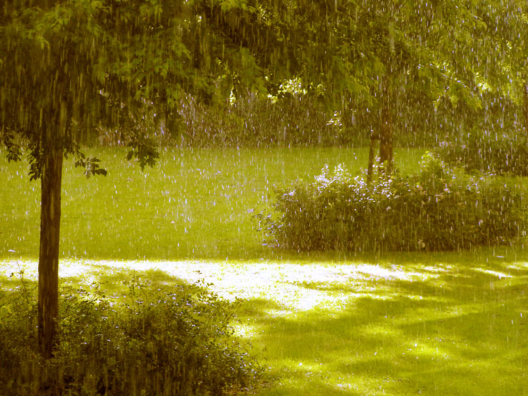 Rainshine