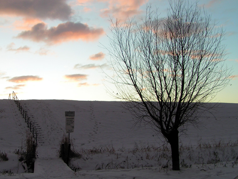 Snow on the dyke